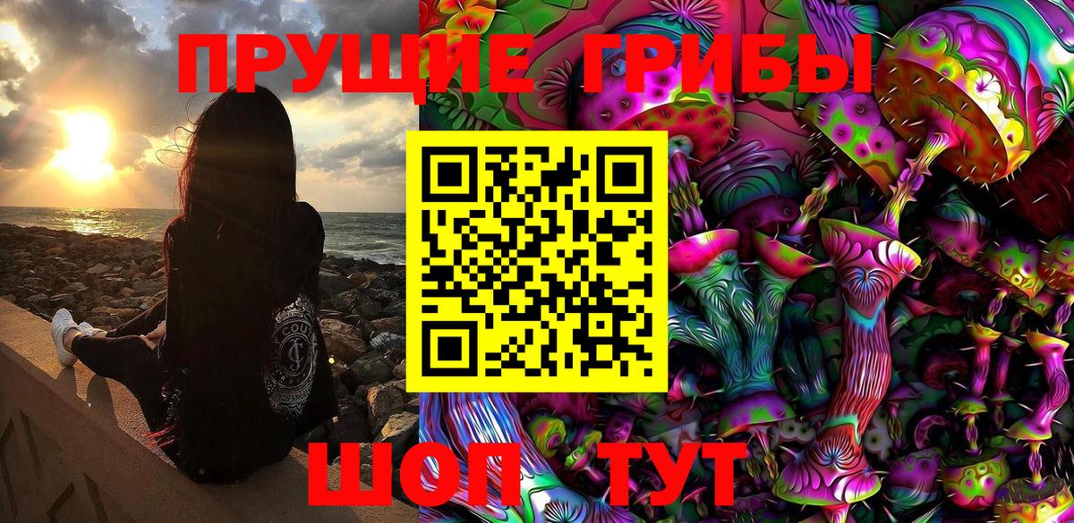 Галлюциногенные грибы Psilocybe Углич